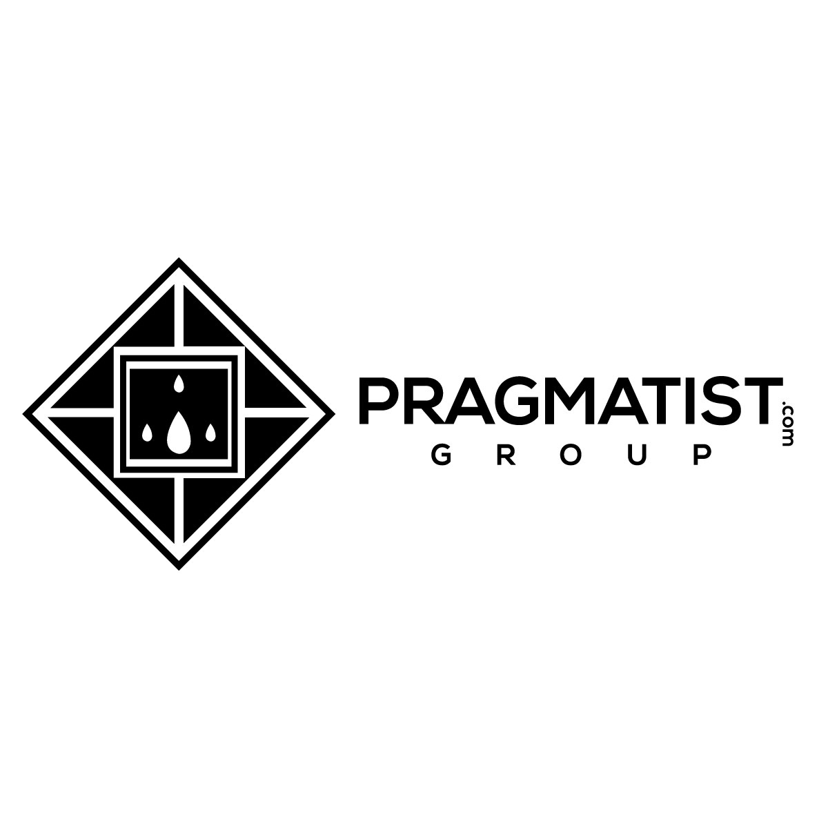pragmatists