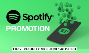 I-will-do-viral-Spotify-music-promotion
